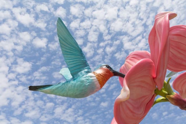 Henry the Hummingbird TRAVEL COMPANIONS sculpture